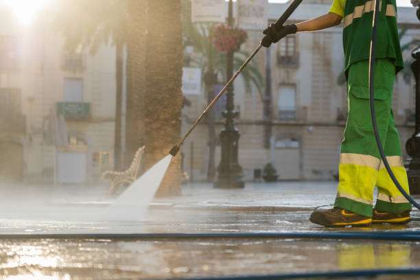 Best Roof Pressure Washing  in Crete, IL