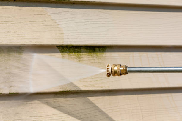 Best Deck Cleaning Services  in Crete, IL
